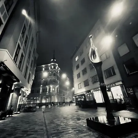 Art Nouveau - Jugend Talo In Center