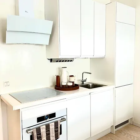 Art Nouveau - Jugend Talo In Center Διαμέρισμα Ελσίνκι